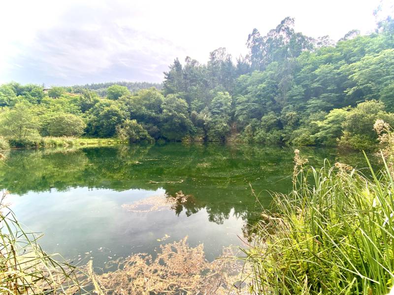 lago pozo tremeo